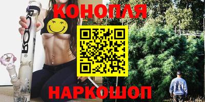 шишки Бузулук