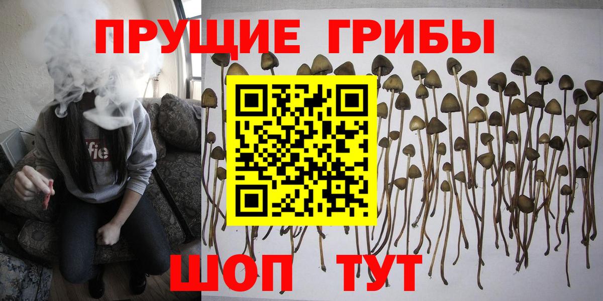 Псилоцибиновые грибы прущие грибы Прокопьевск