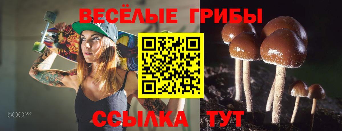 Галлюциногенные грибы прущие грибы  Галлюциногенные грибы MAGIC MUSHROOMS  Прокопьевск  Вход с VPN 